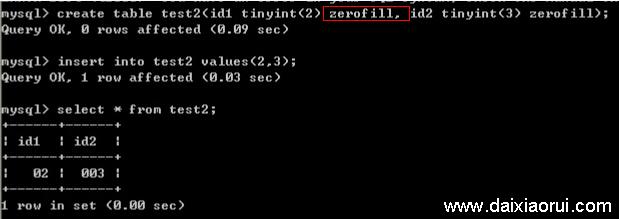 mysql tinyint(1)